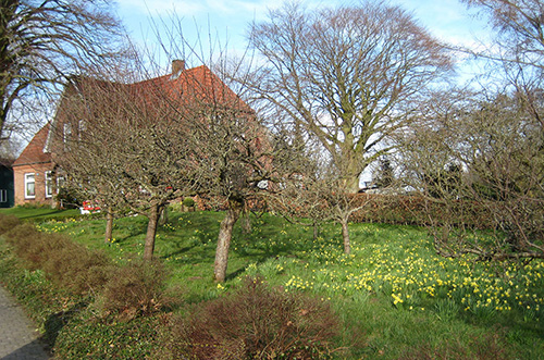 Foto Impressionen Ferienhof Graf