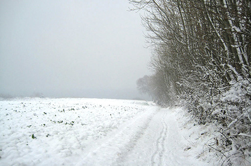 Foto Impressionen Ferienhof Graf