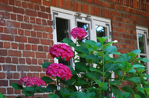 Foto Impressionen Ferienhof Graf