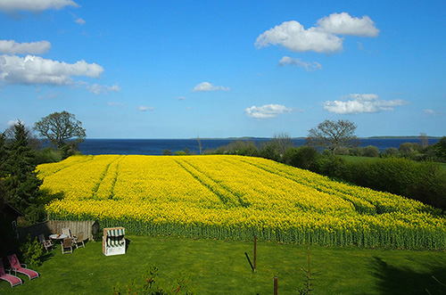 Foto Impressionen Ferienhof Graf