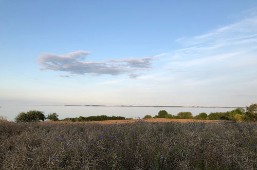 Foto Impressionen Ferienhof Graf