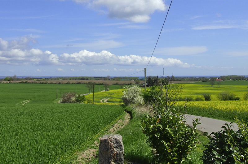 Landschaft Angeln